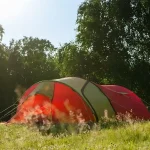 Best Underrated National Forests for Quiet Camping