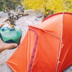 Forests Where You Can Pitch a Tent Without Seeing a Soul